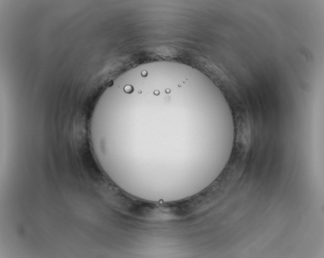 X0000113030518200909101900