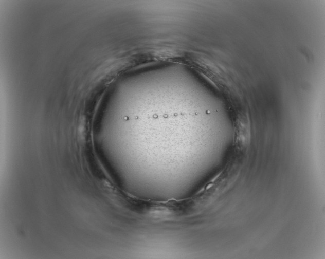 X0000113030519200909101900