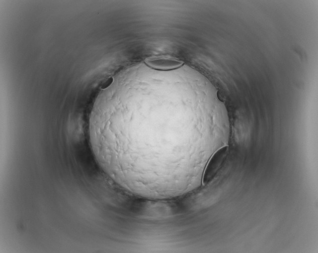 X0000113030520200909101900