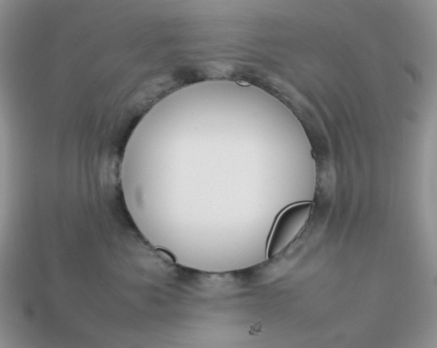 X0000113030525200909101900