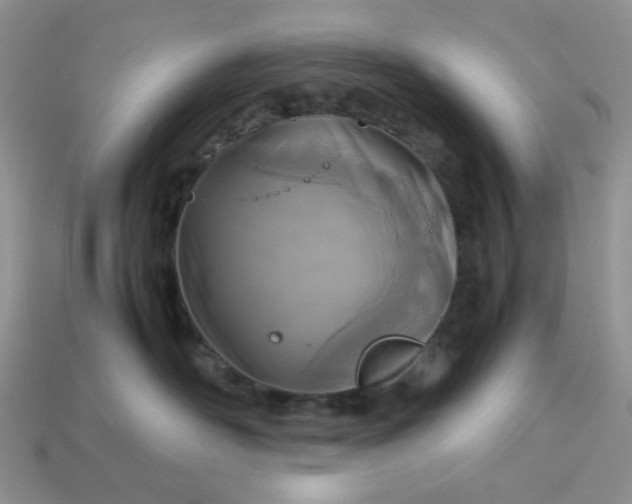 X0000113030526200909101900