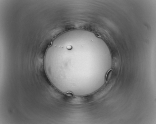 X0000113030527200909101900