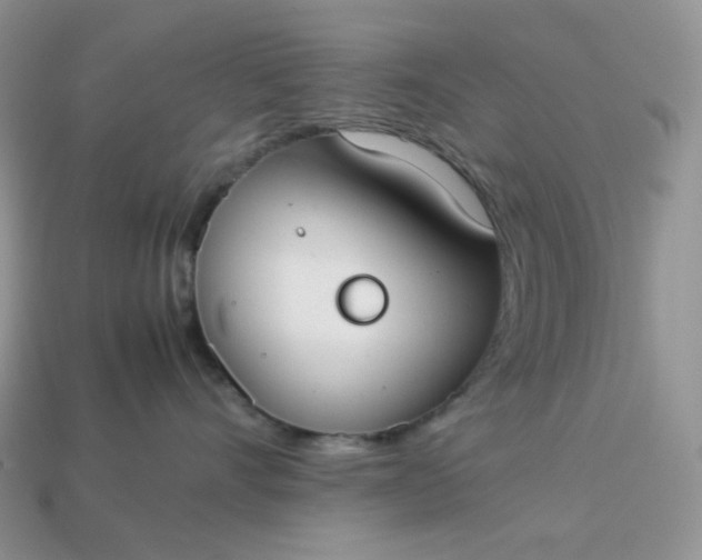 X0000113030528200909101900