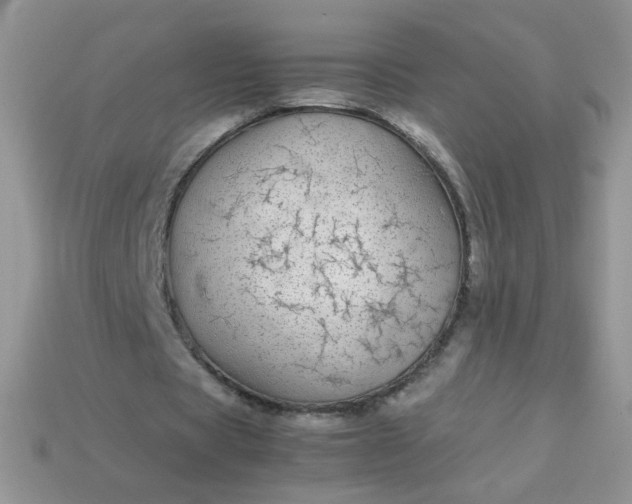 X0000113030529200909101900