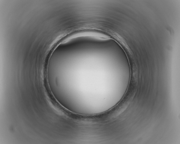 X0000113030530200909101900