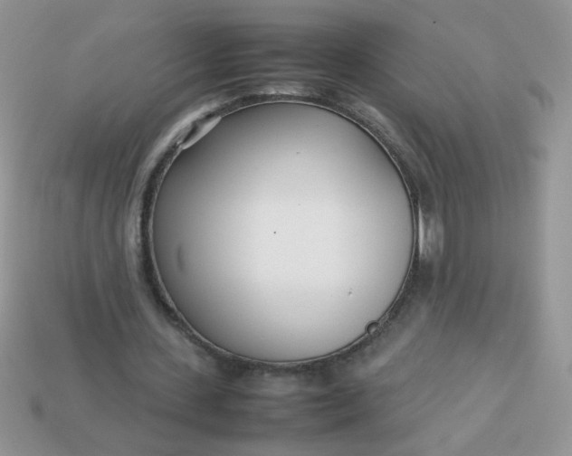 X0000113030531200909101900