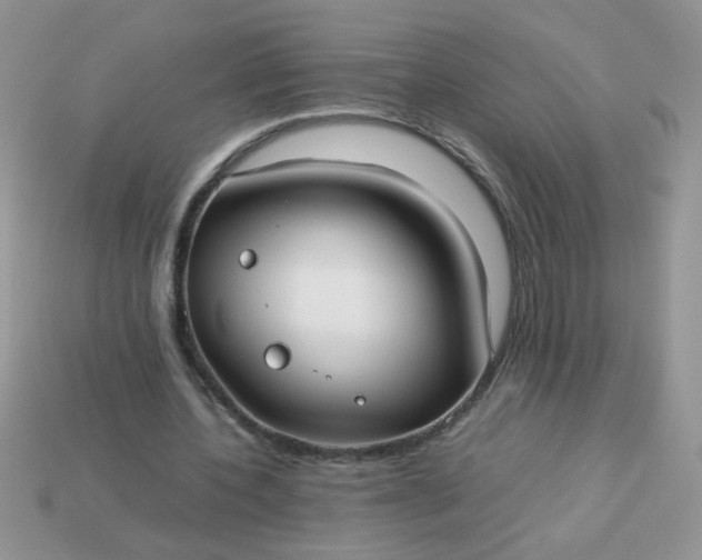 X0000113030532200909101900