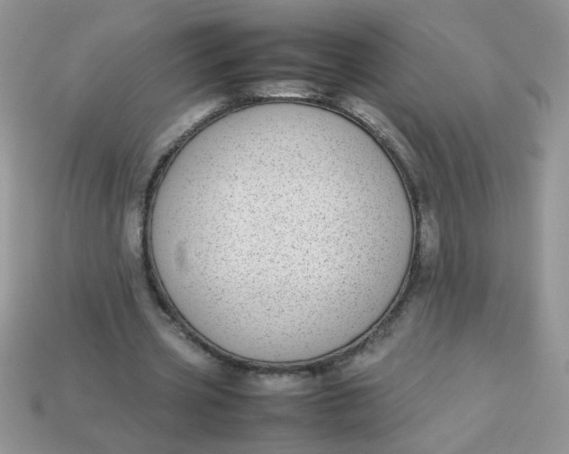 X0000113030533200909101900