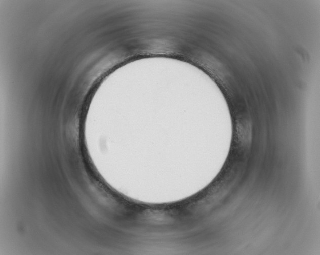 X0000113030534200909101900