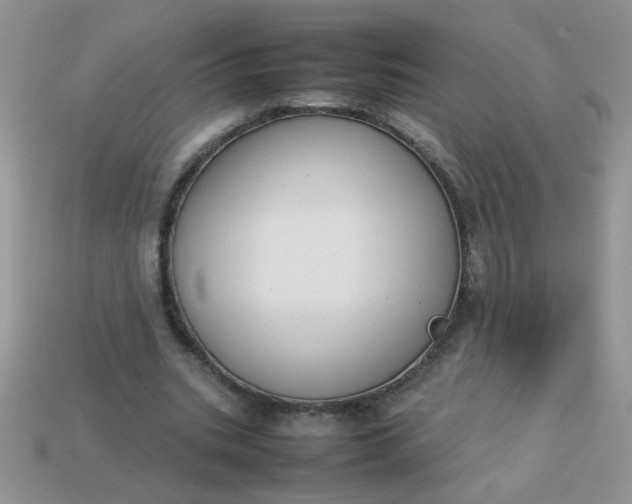 X0000113030535200909101900