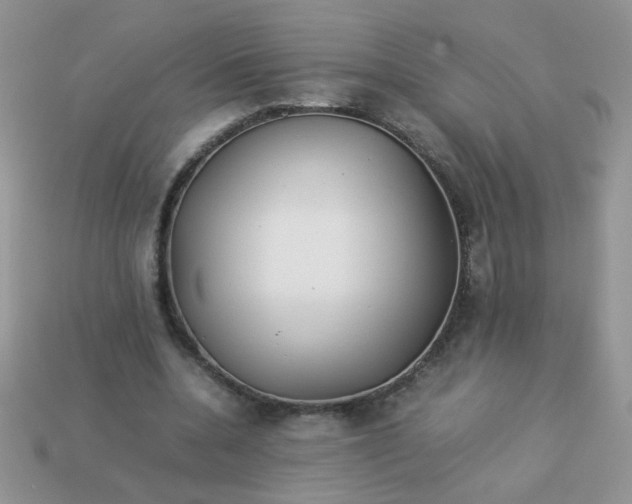 X0000113030536200909101900