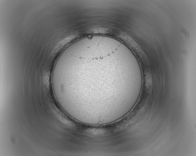 X0000113030537200909101900