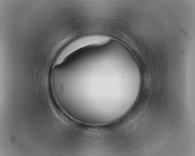 X0000113030538200909101900