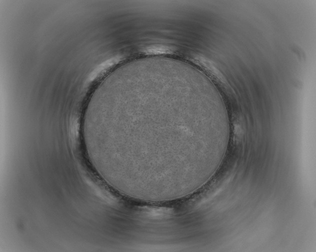 X0000113030539200909101900