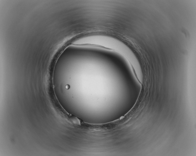 X0000113030540200909101900