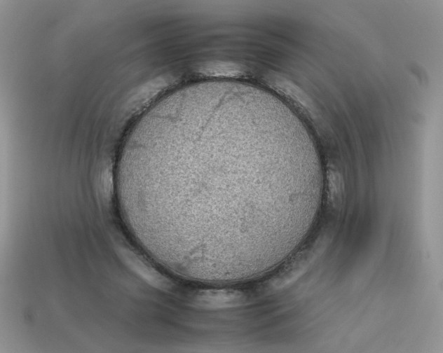 X0000113030541200909101900