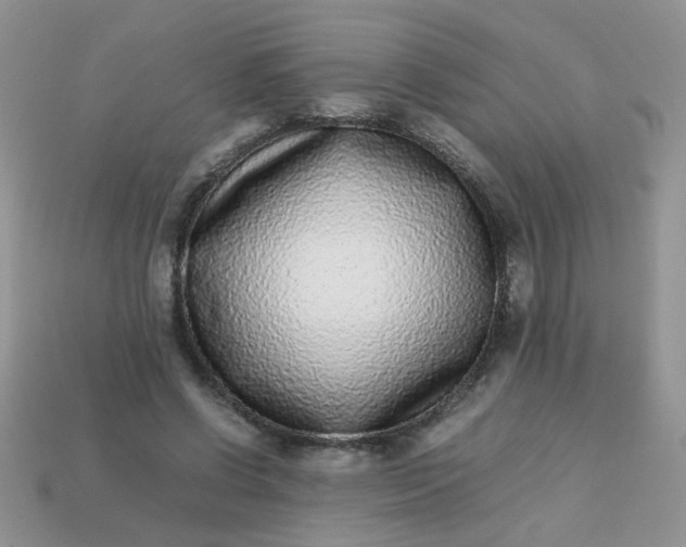 X0000113030542200909101900