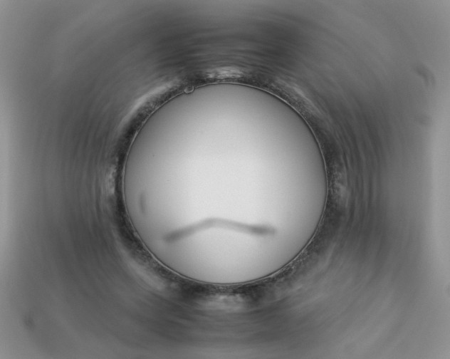 X0000113030543200909101900