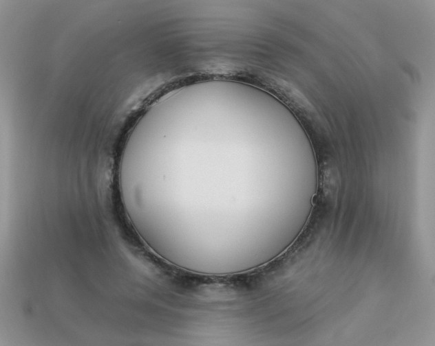 X0000113030544200909101900