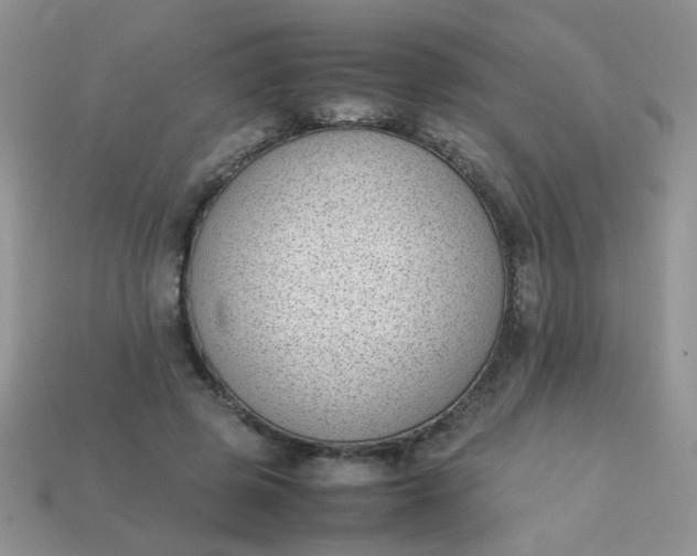 X0000113030545200909101900