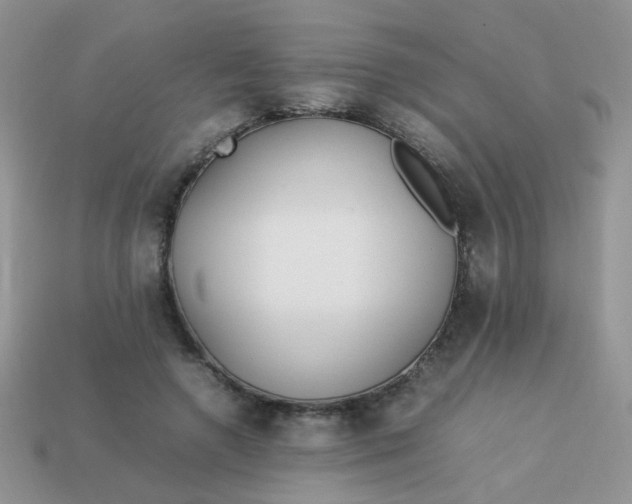 X0000113030546200909101900