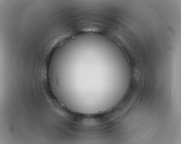 X0000113030547200909101900