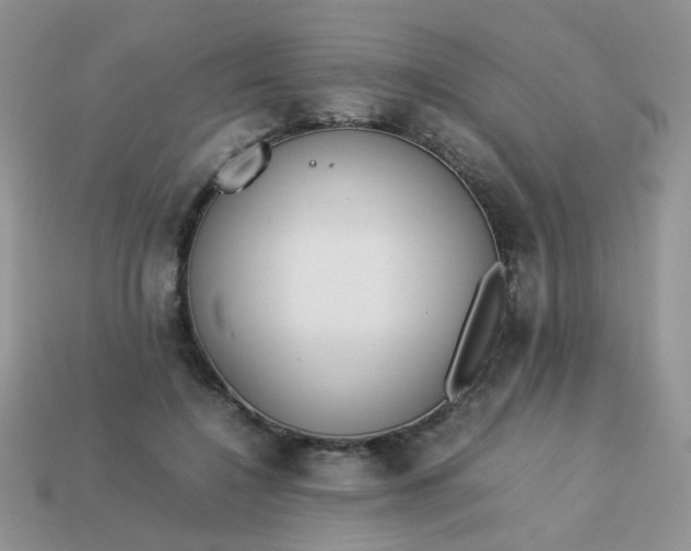 X0000113030548200909101900