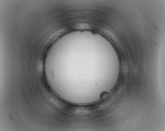 X0000113030549200909101900