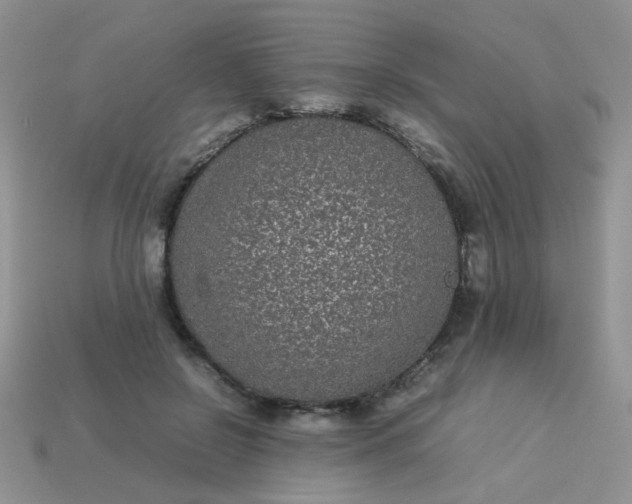 X0000113030550200909101900