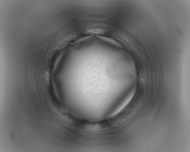 X0000113030551200909101900