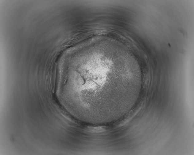 X0000113030553200909101900