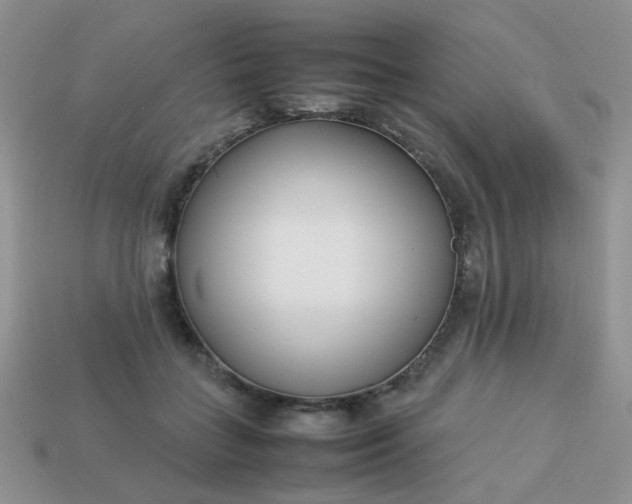 X0000113030555200909101900