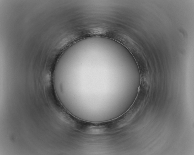 X0000113030556200909101900