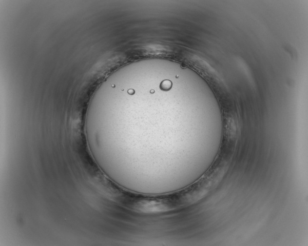 X0000113030557200909101900