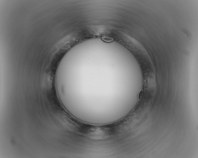 X0000113030558200909101900