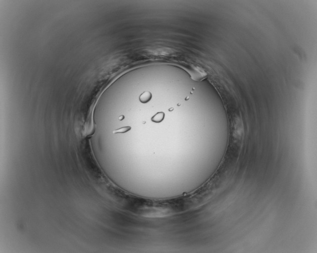 X0000113030559200909101900