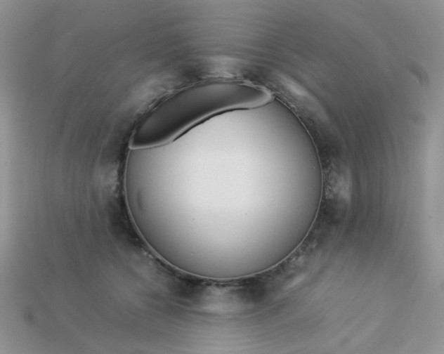 X0000113030560200909101900