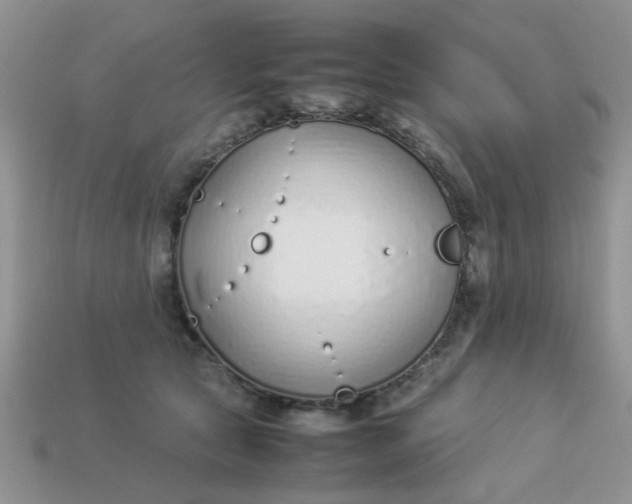 X0000113030561200909101900