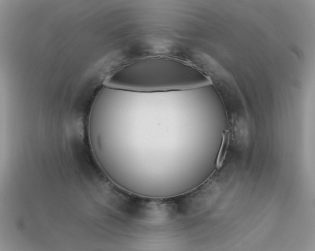 X0000113030562200909101900