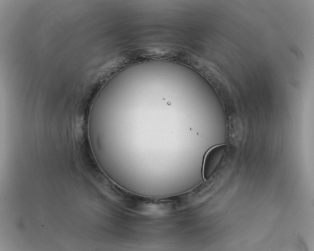 X0000113030563200909101900