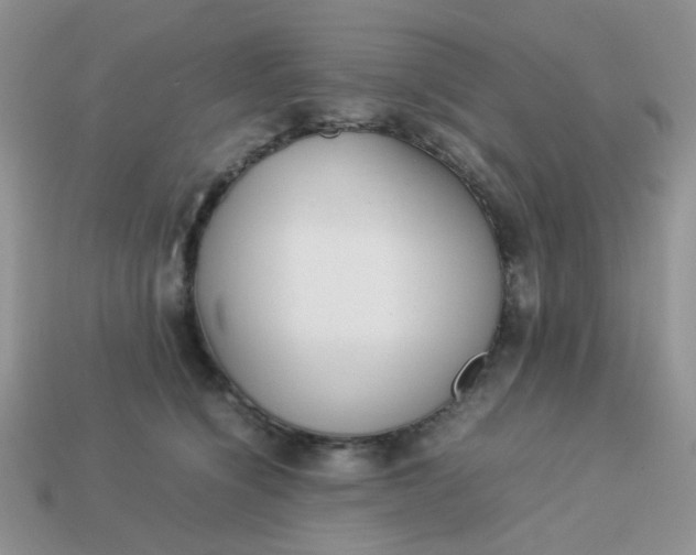 X0000113030564200909101900