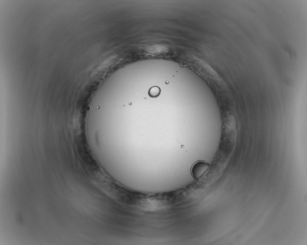 X0000113030565200909101900