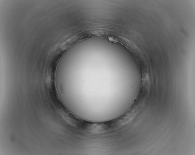 X0000113030566200909101900