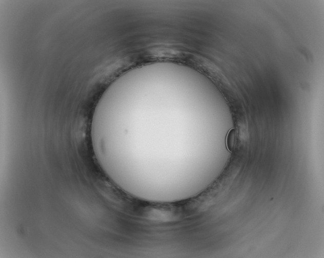 X0000113030567200909101900