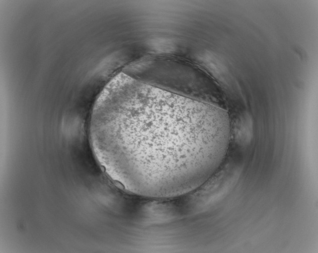 X0000113030568200909101900