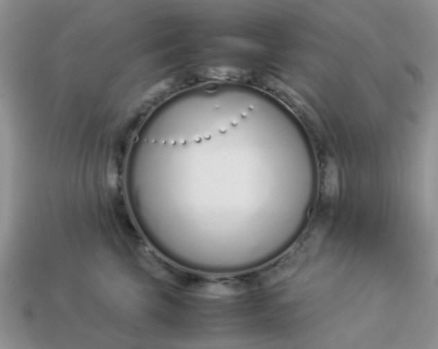 X0000113030569200909101900