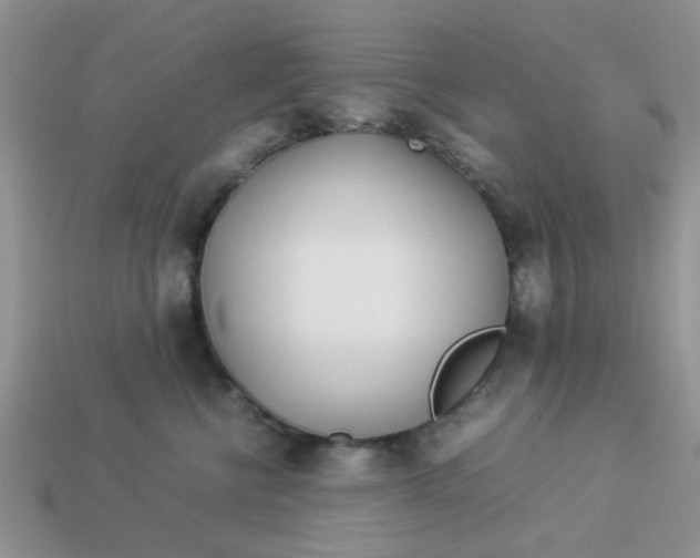 X0000113030570200909101900