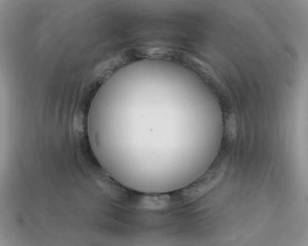 X0000113030571200909101900