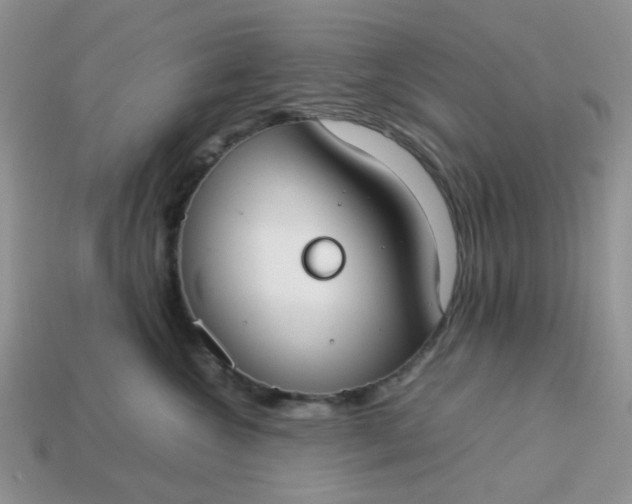 X0000113030572200909101900