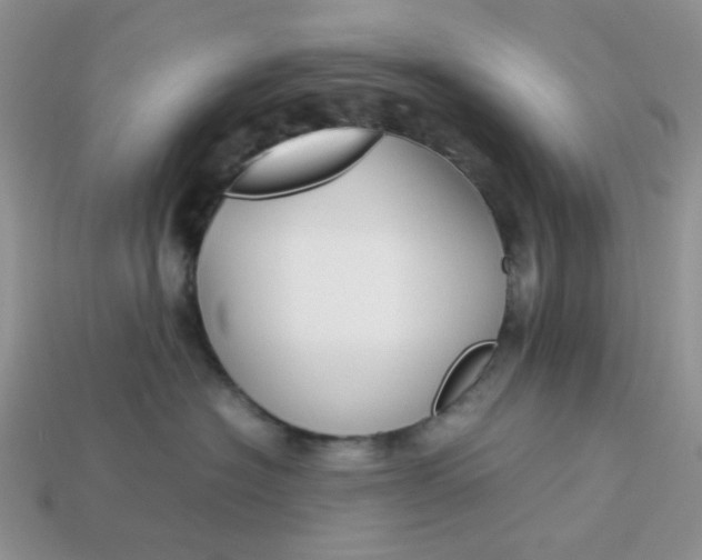 X0000113030574200909101900